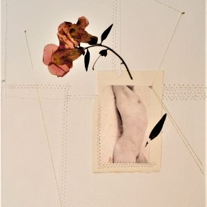 6 ADONE 2020 - 30 x 21 cm - foto su carta cotone- fiore essicato - cuciture - filo argento